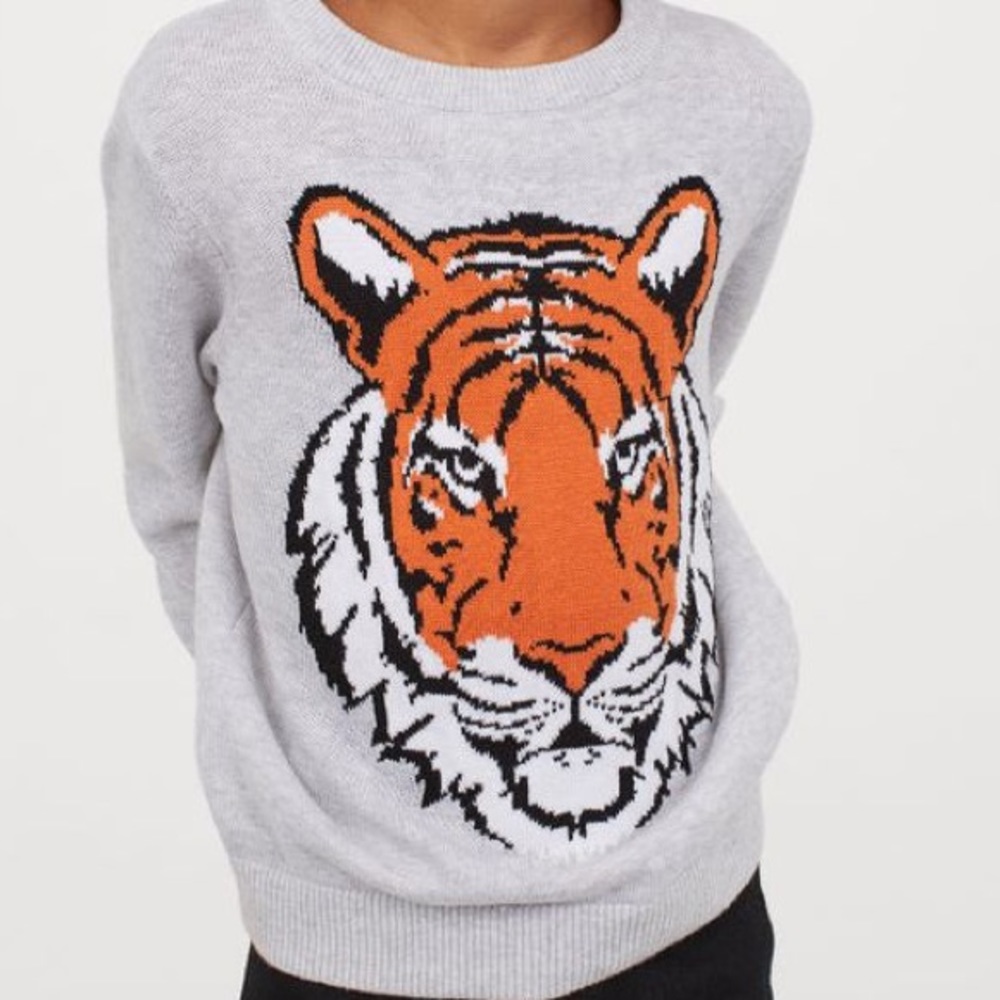 H&M tiger sweater - Picture 1 of 5